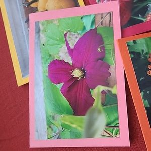 4 Blank Greeting Cards Farm Photo Pumpkin Calendula Strawberry Clematis